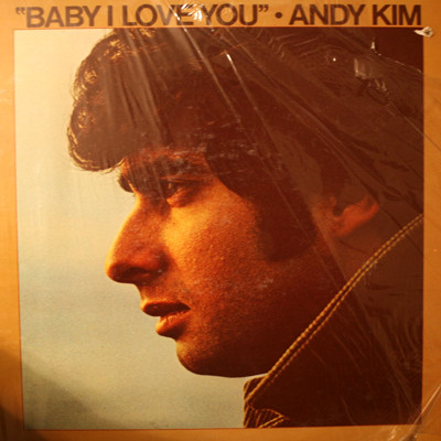 Andy Kim